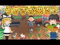 あつ森　ウサギが喜ぶニンジン畑を作れば、ウサギ住民が集まってくるのか？マイデザインなしで島クリ＆神引きキャンプサイト厳選【ゆっくり実況】