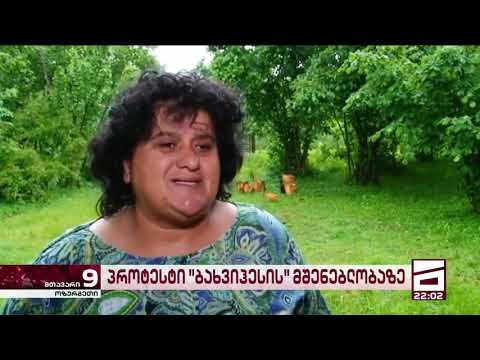 ივანიშვილმა გურიასაც შეუტია ჰესებით