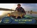 Сазан. Осенняя рыбалка в Астрахани. Дельта Волги.