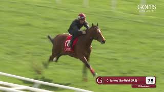 Goffs UK - Breeze Up 2023 - Lot 78