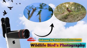 Adcome 8x Telephoto Zoom Lens Review |  Adcome telephoto lens photography vedeo | bird photography