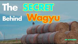 I Visited a Wagyu Beef farm and Learned ALL their SECRETS