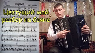 Цветущий май разбор на баяне. Урок#71 Цветущий май разбор на баяне. Урок#71