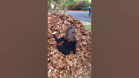 Fun in leaves 3 November 2013