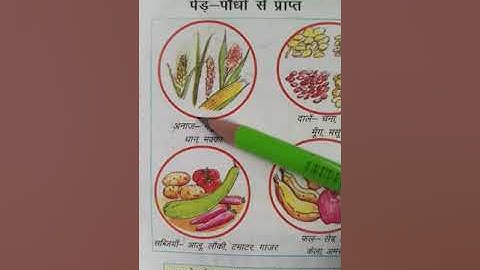 कक्षा 4 पर्यावरण ( हमारा परिवेश )पाठ 4🍎हमारा भोजन🍱🥗