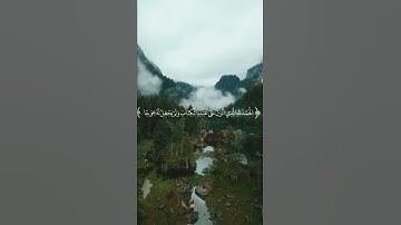 سورة الكهف يوم الجمعة عبدالرحمن مسعد تصاميم دينيه دينيات حالات واتساب دينيه القران الكريم