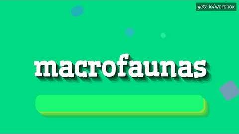 MACROFAUNAS - HOW TO PRONOUNCE IT!?
