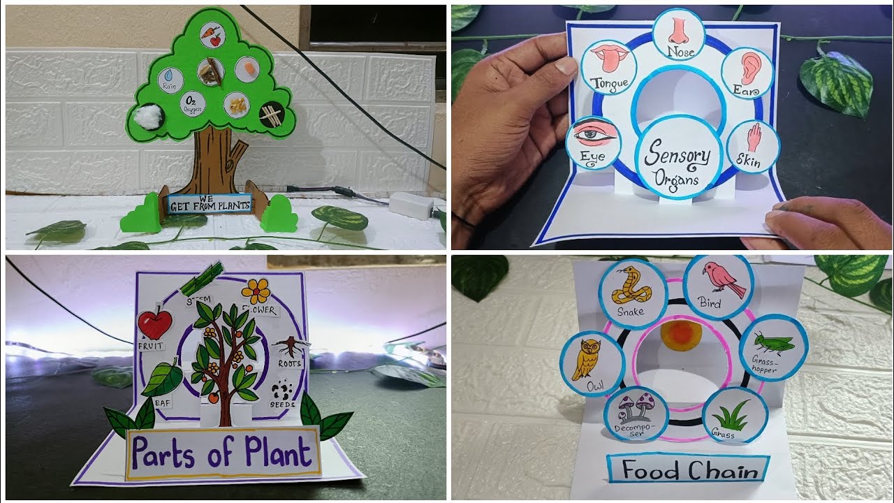 5 Best EVS TLMs IN one Video|| EVS TLM || TLM for primary school