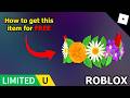 FREE UGC LIMITED - HOW TO GET UGC Seasouls Nature Tiara in Find the "Seasouls"