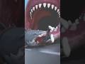 shark ఎంత wait ఉంటుంది #shorts #amazingfacts