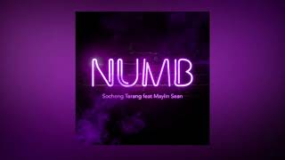 Video thumbnail of "Numb- Socheng Terang feat Maylin Sean (Official Audio)"