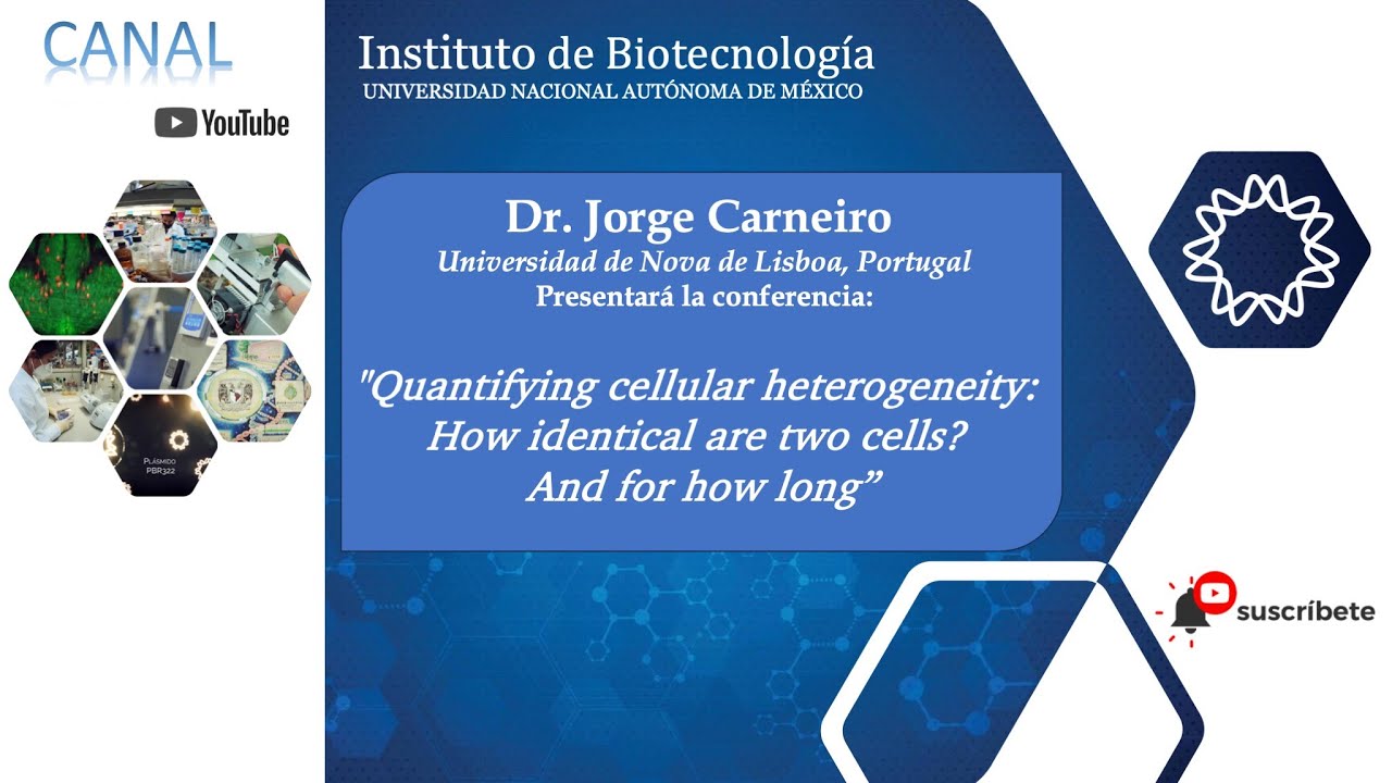 Dr. Jorge Carneiro - Quantifying cellular heterogeneity: How identical are  two cells? And for how .. 