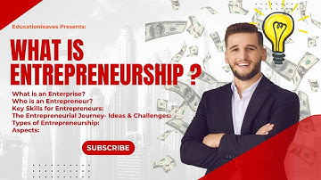 What is Entrepreneurship? Types | Aspects | Journey | Entrepreneur | Enterprise - Educationleaves