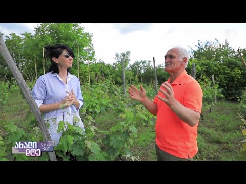 #ახალიდღე „მიწის სიყვარული ყველაზე ძლიერია“- ტარიელ გურგენიძის პორტრეტი საოკუპაციო ხაზიდან