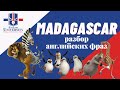 Учим английский по мультфильму Madagascar