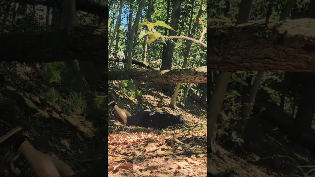 A Horrifying Hike