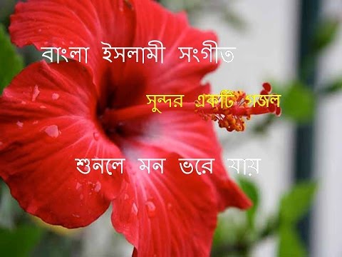 bangla-gojol-&-islamic-song-2016-robuil-aual-mache-aslo-nobi-adrate-islamic-gojol-2016