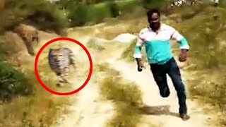 12 Leopard Encounters You Should Avoid Watching