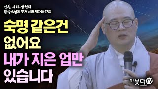 숙명 같은건 없어요 내가 지은 업만 있습니다 | 전설 따라 삼천리 광우스님의 부처님과 제자들 47회(24-1) 이야기