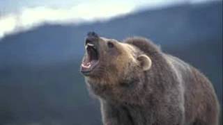 Original song "Im Gonna Eat you" Dan Luellwitz & Jon Lindahl screenshot 4