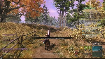 new world movement speed and weapon bug