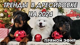 ТРЕНДЫ В ДРЕССИРОВКЕ на 2024 прямой эфир⚡️