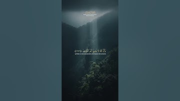 .Sourate Al-'Imran | سورة آل عمرانMaher Al Muaiqly | ماهر المعيقلي V 169-174 | Traduction Français
