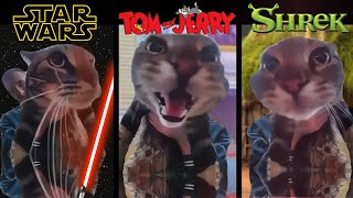 Cat Meows Into Door Camera Meme But In Different Universes