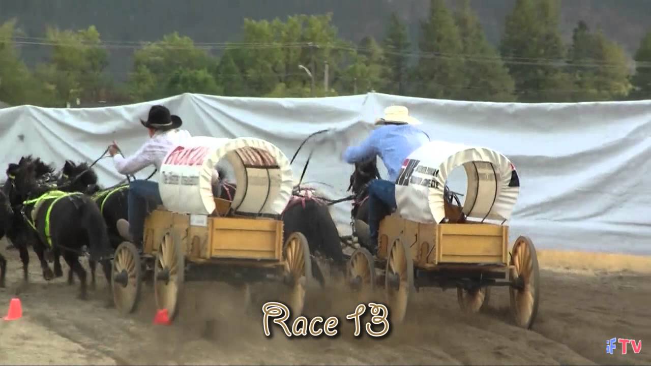 mini chuckwagon race13 - YouTube