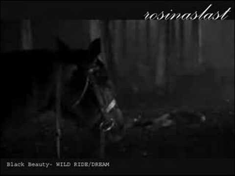 13. BLACK BEAUTY - WILD RIDE/DREAM (1994 SOUNDTRACK)