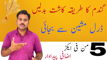 The best method for wheat seed sowing | Drill sowing of wheat seed | Abid Ali Agrarian