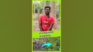 வாடலா இருந்த மரம் இப்போ தள தளனு இருக்கு!! #agtech #smartfarming #mobitech