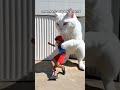 o gato pegou ele😂😄😁 #funny #comedy #shorts #finland