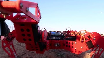 Hexapod goes for a walk