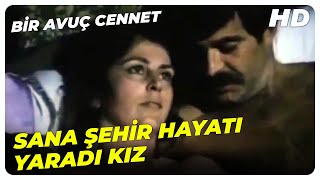 Bir Avuç Cennet - Kedi Milleti Gibi Doğur Babam Doğur  Tarık Akan Hale Soygazi Eski Türk Filmi