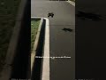 FPV Drone vs RC Car｜Double Fun in One Shot 🚁🚗 #Shorts