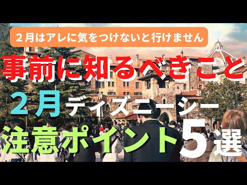 【ディズニーシー】 アレに気をつけないと大失敗。2月の注意点5選 これから行く人は必ず見てください。