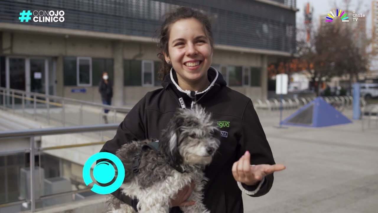 Con Ojo Clínico - "El especialista responde": La canoterapia