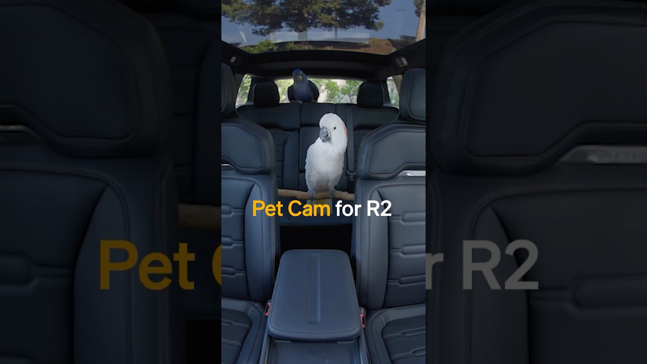 Pet Cam for R2 | Rivian