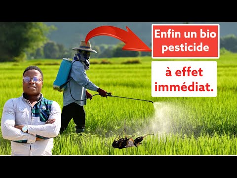 Vidéo: Types de pesticides naturels - En savoir plus sur les pesticides biologiques pour les plantes