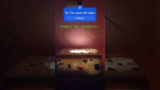 How To Make An Egg Incubator