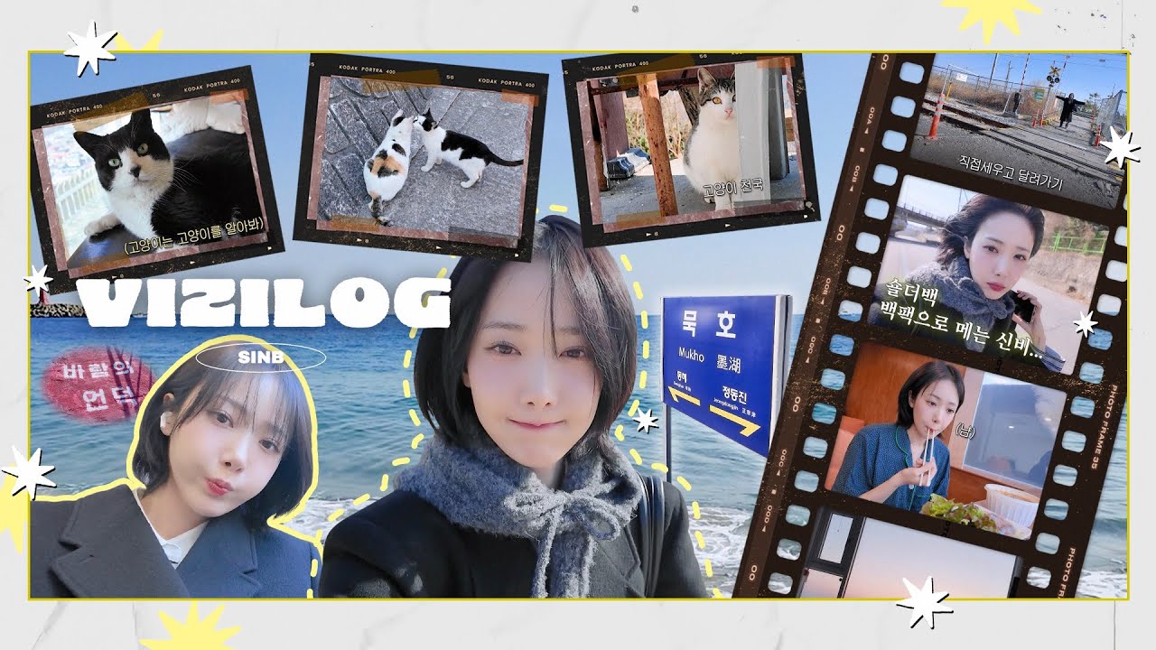 [VIZILOG] 대충 살자.. 숄더백 백팩으로 메는 신비처럼… in 묵호🌊 ㅣ 신비의 Vlog