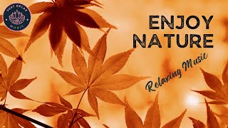 JUST lay back and RELAX | Welcome Autumn and listen to the relaxing music |  study, relax, work