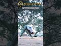 Morning Yoga Stretching || Yoga O Jivan 🧘‍♂️  #shorts #yoga #motivation