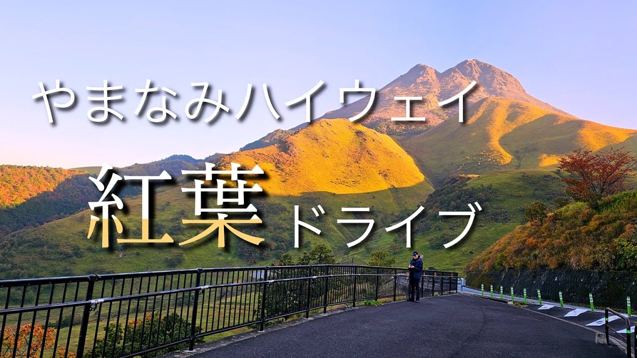 【大分】やまなみハイウェイ、紅葉ドライブ。湯布院、金鱗湖、茶房天井棧敷、くじゅうワイナリー、ガンジーファーム