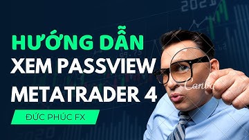 Hướng dẫn xem passview MT4 (Metatrade 4) trên điện thoại: Sửng sốt lợi nhuận 700%