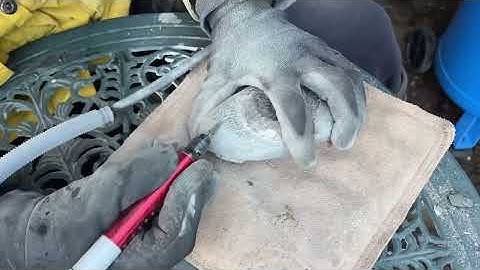 Double Androgynoceras Prep. Fossil preparation video of a rare androg multi block Yorkshire Fossils