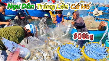 Phan Rí Cửa Mùa Cá Hố Đầu Năm | Cùng Gia Đình Đổ Bánh Xèo Bánh Căn Hải Sản