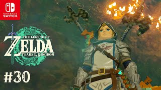 Deeper Into The Royal Hidden Passage | Tears of the Kingdom | Part 30 (with Commentary)