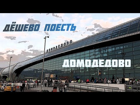 Домодедово. Дешево поесть. Столовая. Аэропорт